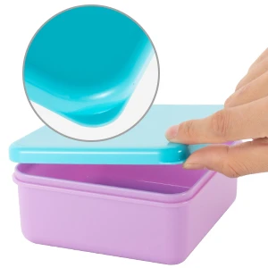 Food Box With Removable Dividers