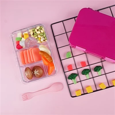 PCTG Lunch Container